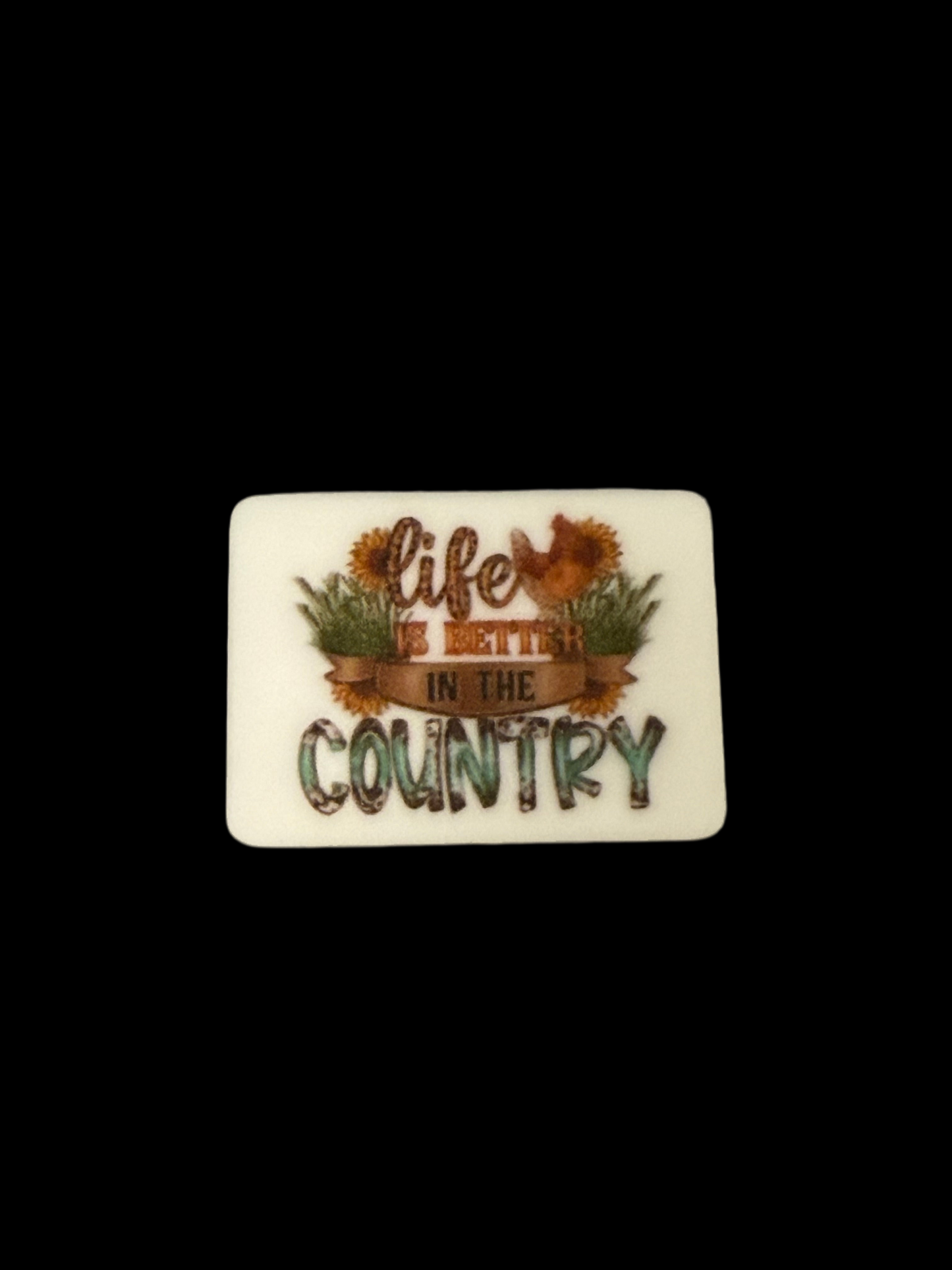 F/C22- (1)PC 1.2" Life is better in the COUNTRY Focal Bead for DIY Keychains, Wristlets, Cup Charms, Car Charms ETC