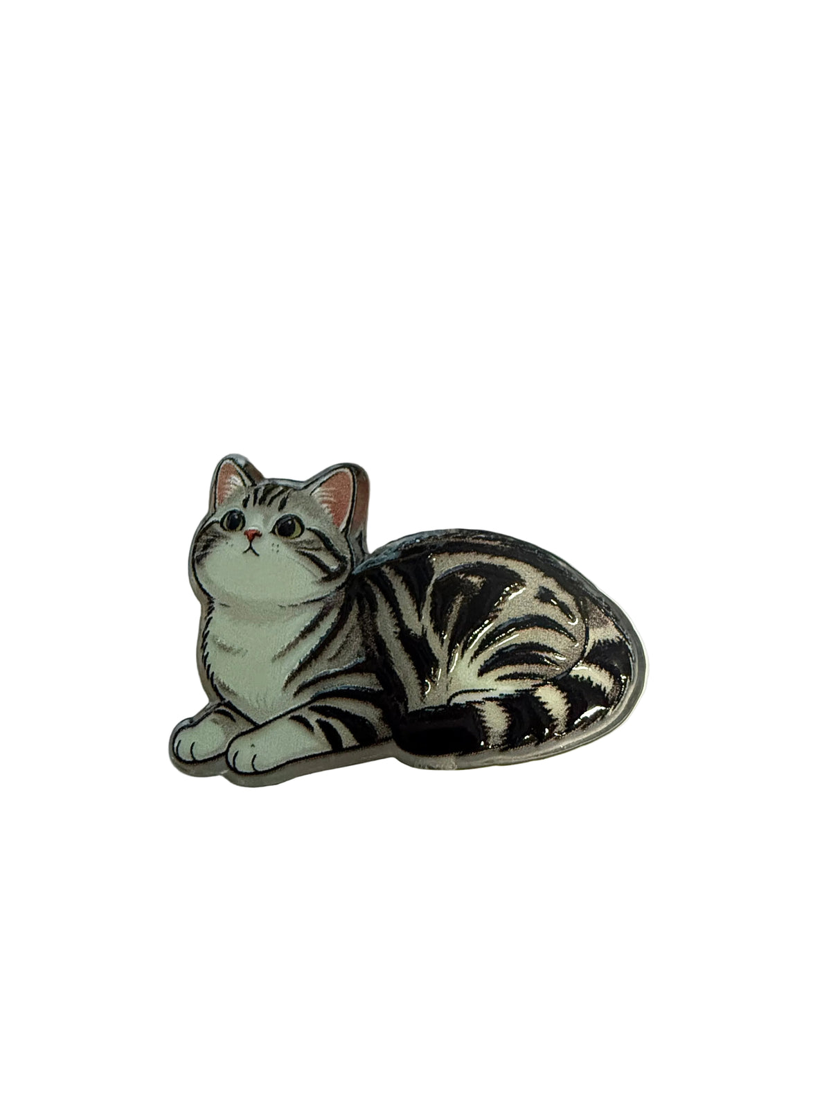 F/ACR78- (1)PC 1" CHOOSE YOUR CAT Acrylic Focal Bead for DIY Pens, Keychains, Wristlets, Cup Charms, Car Charms ETC
