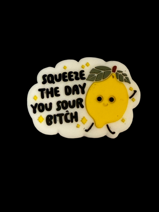 F/BW26- (1)PC 1.2" Squeeze THE DAY YOU SOUR B!T*H Focal Bead for DIY Keychains, Wristlets, Cup Charms, Car Charms ETC